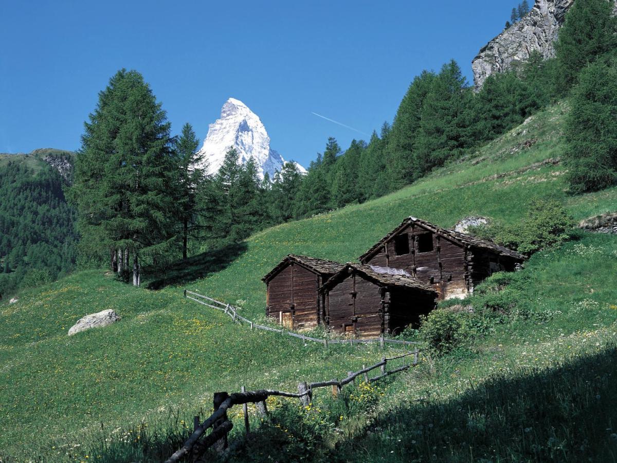 Apartment Richemont By Interhome Zermatt Exterior photo